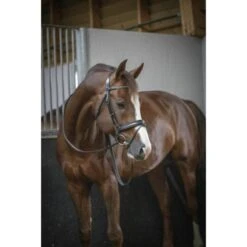 PÉNÉLOPE Pénélope Trense Daily Schokolade -Geschäft für Reitsportbedarf ekkia penelope daily hoofdstel 3.a6e028