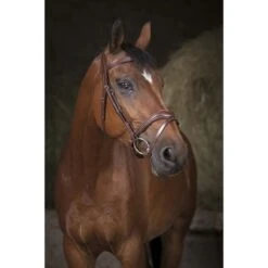 Norton Trense Pro Vague Schwarz -Geschäft für Reitsportbedarf ekkia z05834 301 832 318 ambi.fdd3e1