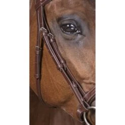 Norton Trense Pro Vague Schwarz -Geschäft für Reitsportbedarf ekkia z05834 301 832 318 ambi det2.62b154