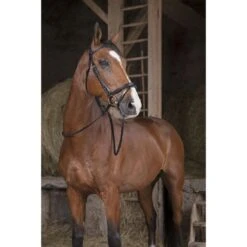 Norton Zügel Pro Hunter 16mm Schwarz Warmblut -Geschäft für Reitsportbedarf ekkia z06635 305 641 302 ambi.a93a44