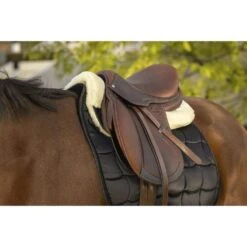 EQUITHÈME Unterleger Teddy Navy/Weiß Warmblut -Geschäft für Reitsportbedarf ekkia z07559 206 074 205 ambi2.faf3c1