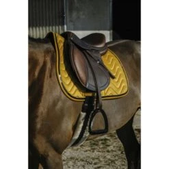 EQUITHÈME Schabracke Glossy Vielseitig Altrosa Warmblut -Geschäft für Reitsportbedarf ekkia z08296 204 761 010 ambi1.2e31c6