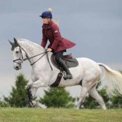 Weatherbeeta Schabracke Prime Springen Grau 28 Weatherbeeta Schabracke Prime Springen Grau -Geschäft für Reitsportbedarf fc71cacd38c31347ee6f424db84c6705.64ad45