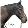 F.R.A. Gebisslose Trense Taiga Antislip Zügel Schwarz -Geschäft für Reitsportbedarf fra taiga.657881