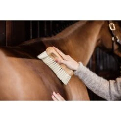 Grooming Deluxe By Kentucky Body Bürste Mittel Zacht -Geschäft für Reitsportbedarf groomingdeluxe 82116 05 5 resultaat.ad5769
