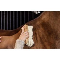 Grooming Deluxe By Kentucky Body Bürste Mittel Zacht -Geschäft für Reitsportbedarf groomingdeluxe 82116 05 6 resultaat.bd407b