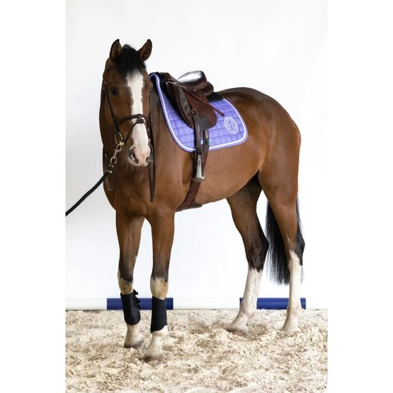 Harcour Schabracke Siriel Springen Violett Warmblut 10 Harcour Schabracke Siriel Springen Violett Warmblut – Bild 8