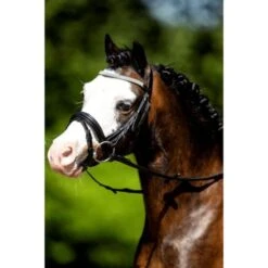 HB Trense Luxe Little Sizes Rosa -Geschäft für Reitsportbedarf hb 312 wit.b38a12