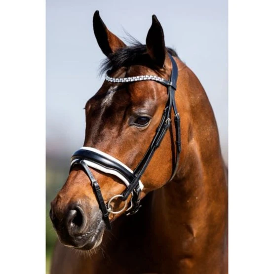 HB Showtime Trense Jubileum Schwarz VB 5 HB Showtime Trense Jubileum Schwarz VB – Bild 3