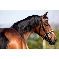 HB Showtime Trense Jubileum Schwarz VB 9 HB Showtime Trense Jubileum Schwarz VB -Geschäft für Reitsportbedarf hb 353 wit.d54a32