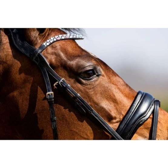 HB Showtime Trense Jubileum Schwarz VB 4 HB Showtime Trense Jubileum Schwarz VB – Bild 2