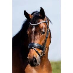 HB Showtime Trense Jubileum Schwarz VB