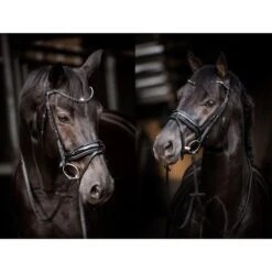 HB Trense Showtime Evalira Blau/Schwarz -Geschäft für Reitsportbedarf hb 361 blue zwart.fd5c18