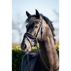 HB Trense Showtime Evalira Blau/Schwarz -Geschäft für Reitsportbedarf hb 361b.680af9