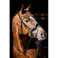 HB Showtime Trense Special Guy Schwarz -Geschäft für Reitsportbedarf hb 363 zwart 2.213536
