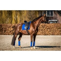 HB Showtime Schabracke Crown Dressur Rasberry -Geschäft für Reitsportbedarf hb 641 royalblue.3ffa90 1