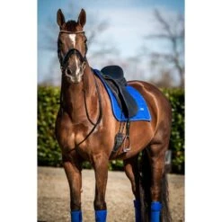 HB Showtime Schabracke Crown Dressur Navy -Geschäft für Reitsportbedarf hb 641 royalblue.6089dc