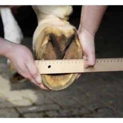 HKM Hufschuh Schwarz -Geschäft für Reitsportbedarf hkm 7955 meten.719e50