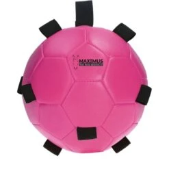 Maximus Ball Fun Play Orange -Geschäft für Reitsportbedarf hof 277115.6098f7 5