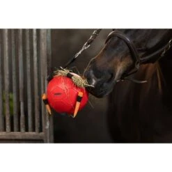Maximus Ball Fun Play Rosa -Geschäft für Reitsportbedarf hof 277364.fa82a8 2