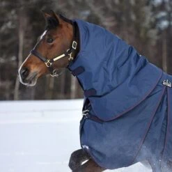 Rambo Halsstück Optimo 150g Navy/Burgund/Teal -Geschäft für Reitsportbedarf horseware aaafnb bqgb 1200x1500.5d4736