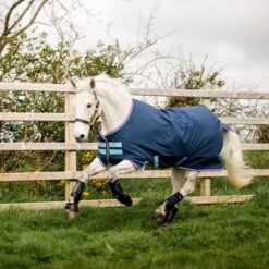 Amigo Hero 900 Py Turnout Med 200g Dunkelblau/Capri/Himbeer 12 Amigo Hero 900 Py Turnout Med 200g Dunkelblau/Capri/Himbeer -Geschäft für Reitsportbedarf horseware akma92 bczp 3 8256x5504.f03505