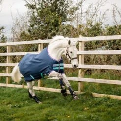 Amigo Hero 900 Py Turnout Med 200g Dunkelblau/Capri/Himbeer 10 Amigo Hero 900 Py Turnout Med 200g Dunkelblau/Capri/Himbeer -Geschäft für Reitsportbedarf horseware akma92 bczp 6 7451x4967.b21f1c