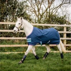 Amigo Hero 900 Py Turnout Med 200g Dunkelblau/Capri/Himbeer 9 Amigo Hero 900 Py Turnout Med 200g Dunkelblau/Capri/Himbeer -Geschäft für Reitsportbedarf horseware akma92 bczp 8256x5504.8f04be