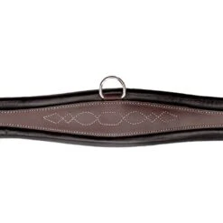 Kavalkade Sattelgurt Foster Classic Elastisch Braun -Geschäft für Reitsportbedarf kav 14367 06.cb6f67