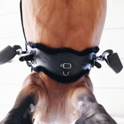 Kentucky Horsewear Kentucky Dressurgurt Sheepskin Anatomic Short Braun 33 Kentucky Horsewear Kentucky Dressurgurt Sheepskin Anatomic Short Braun -Geschäft für Reitsportbedarf ken 42411 01 1.956a01 1