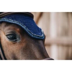 Kentucky Horsewear Kentucky Ohrnetz Wellington Glitter Schwarz Warmblut -Geschäft für Reitsportbedarf ken 42618 33 2.f5cb98