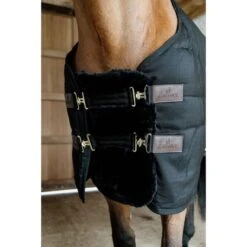 Kentucky Horsewear Kentucky Brustverlängerung Wol 2 Kupplungsverschlussen Naturell -Geschäft für Reitsportbedarf kentucky 179a2638.83602d