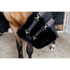 Kentucky Horsewear Kentucky Brustverlängerung Wol 2 Kupplungsverschlussen Naturell -Geschäft für Reitsportbedarf kentucky 179a2647.5829bf