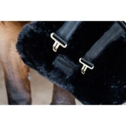 Kentucky Horsewear Kentucky Brustverlängerung Wol 2 Kupplungsverschlussen Naturell -Geschäft für Reitsportbedarf kentucky 179a2648.d27bf1