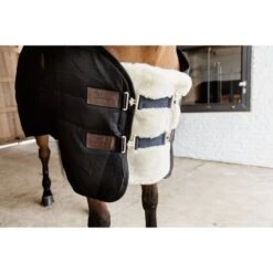 Kentucky Horsewear Kentucky Brustverlängerung Wol 2 Kupplungsverschlussen Naturell -Geschäft für Reitsportbedarf kentucky 179a2653.731e32