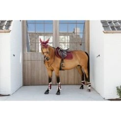 Kentucky Horsewear Kentucky Kugelschützer Young Horse Velvet Vegan Bunt Bordeaux -Geschäft für Reitsportbedarf kentucky 179a3902.814ce8