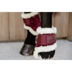 Kentucky Horsewear Kentucky Kugelschützer Young Horse Velvet Vegan Bunt Bordeaux -Geschäft für Reitsportbedarf kentucky 179a3978.96fa48