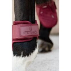 Kentucky Horsewear Kentucky Kugelschützer Young Horse Velvet Altrosa -Geschäft für Reitsportbedarf kentucky 179a4028.9a16d1