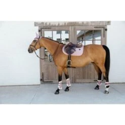 Kentucky Horsewear Kentucky Kugelschützer Young Horse Velvet Vegan Bunt Bordeaux -Geschäft für Reitsportbedarf kentucky 179a4092.ced187