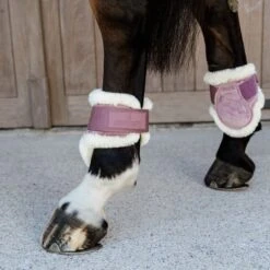 Kentucky Horsewear Kentucky Kugelschützer Young Horse Velvet Vegan Bunt Bordeaux -Geschäft für Reitsportbedarf kentucky 179a4128.5aa922