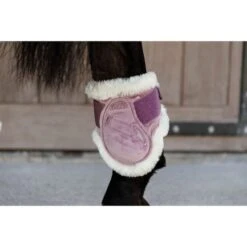 Kentucky Horsewear Kentucky Kugelschützer Young Horse Velvet Vegan Bunt Bordeaux -Geschäft für Reitsportbedarf kentucky 179a4134.8633ab