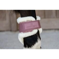 Kentucky Horsewear Kentucky Kugelschützer Young Horse Velvet Vegan Bunt Bordeaux -Geschäft für Reitsportbedarf kentucky 179a4138.e37fbd