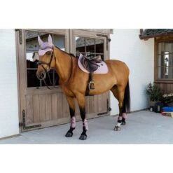Kentucky Horsewear Kentucky Kugelschützer Young Horse Velvet Altrosa -Geschäft für Reitsportbedarf kentucky 179a4234.63f90f