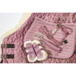 Kentucky Horsewear Kentucky Kugelschützer Young Horse Velvet Vegan Bunt Bordeaux -Geschäft für Reitsportbedarf kentucky 179a4722.96c893