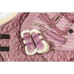 Kentucky Horsewear Kentucky Kugelschützer Young Horse Velvet Vegan Bunt Bordeaux -Geschäft für Reitsportbedarf kentucky 179a4725.a0f009