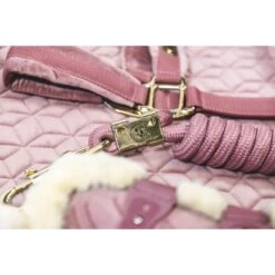 Kentucky Horsewear Kentucky Kugelschützer Young Horse Velvet Vegan Bunt Bordeaux -Geschäft für Reitsportbedarf kentucky 179a4736.d4f949