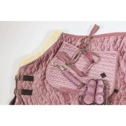 Kentucky Horsewear Kentucky Kugelschützer Young Horse Velvet Altrosa -Geschäft für Reitsportbedarf kentucky 179a4753.5b9dd7