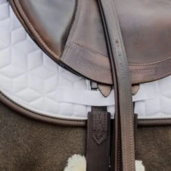 Kentucky Horsewear Kentucky Horse Schabracke Skin Friendly Springen Weiß Warmblut 21 Kentucky Horsewear Kentucky Horse Schabracke Skin Friendly Springen Weiß Warmblut -Geschäft für Reitsportbedarf kentucky 42468 wit 5.eadeb9 1