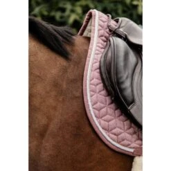 Kentucky Horsewear Kentucky Schabracke Wolle Springen Grau 33 Kentucky Horsewear Kentucky Schabracke Wolle Springen Grau -Geschäft für Reitsportbedarf kentucky 42583 10 sj foto3.2eac19