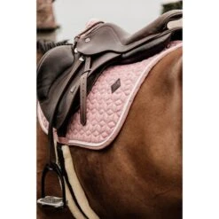 Kentucky Horsewear Kentucky Schabracke Wolle Springen Grau 34 Kentucky Horsewear Kentucky Schabracke Wolle Springen Grau -Geschäft für Reitsportbedarf kentucky 42583 10 sj foto4.b11a63